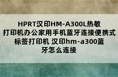 HPRT汉印HM-A300L热敏打印机办公家用手机蓝牙连接便携式标签打印机 汉印hm-a300蓝牙怎么连接